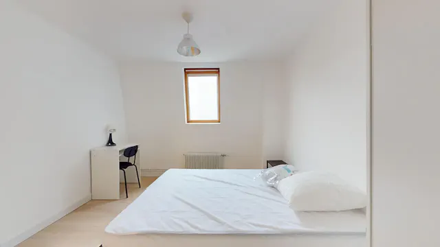 Private room in Boulevard de Strasbourg, Lille (1633314) room image 1