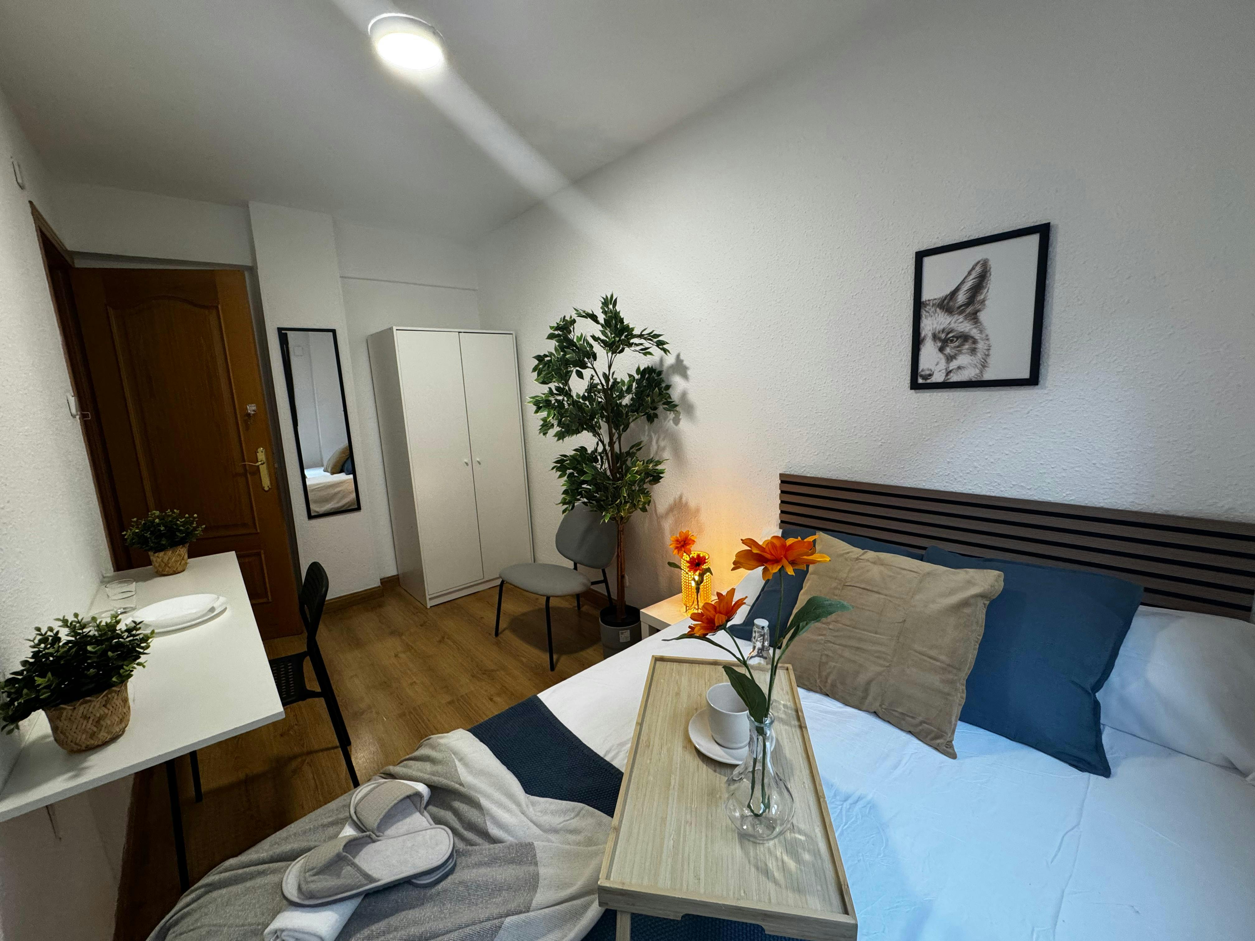 Calle Avellana, Madrid preview