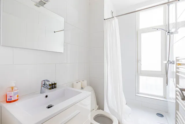 1-Bedroom Apartment in Rue de Billancourt, Boulogne-Billancourt (1634320) room image 50