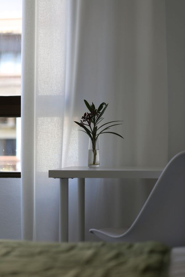 Carrer de Rodrigo de Pertegás, Valencia preview