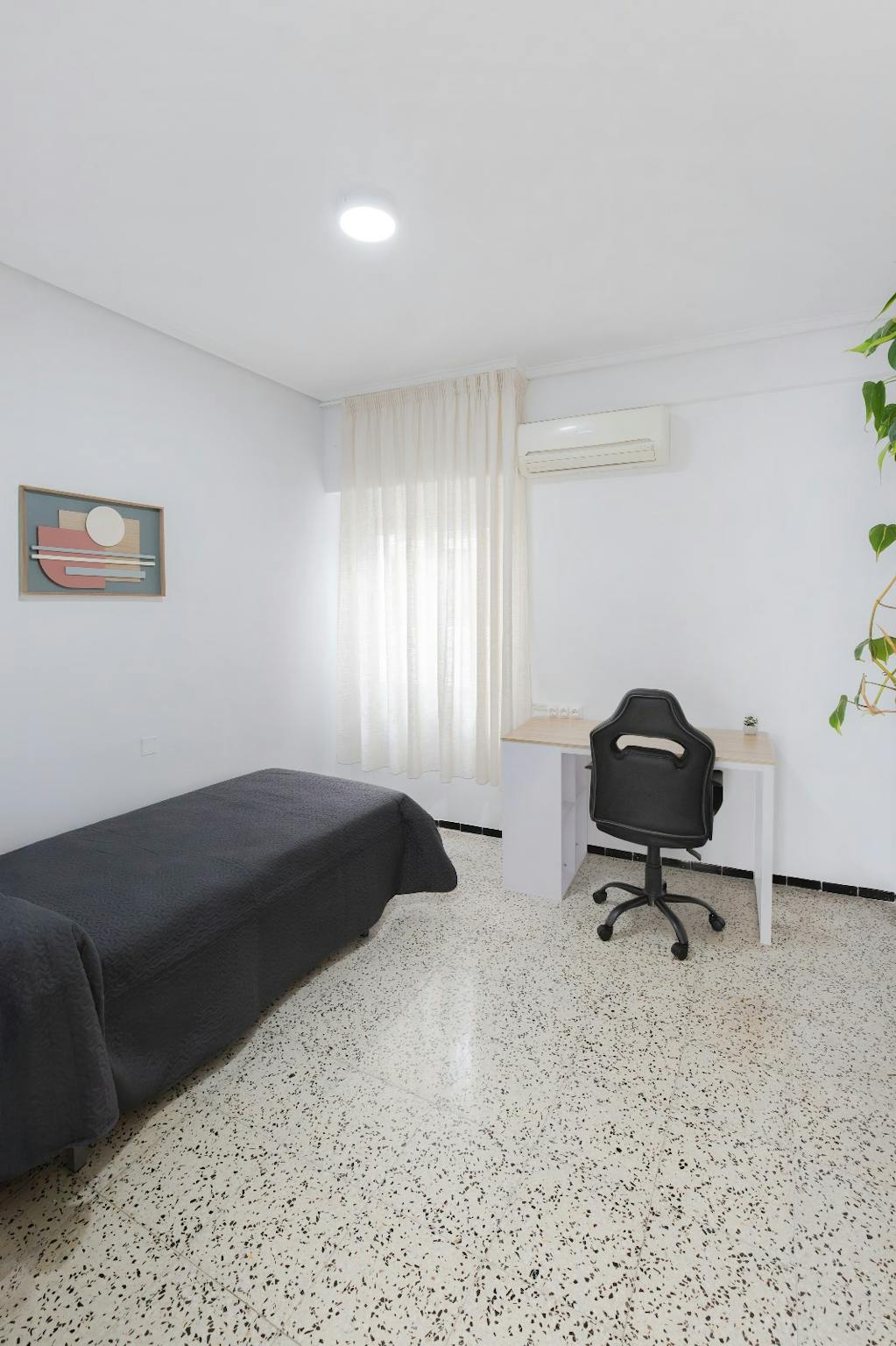 Carrer Sant Vicent, Elche preview