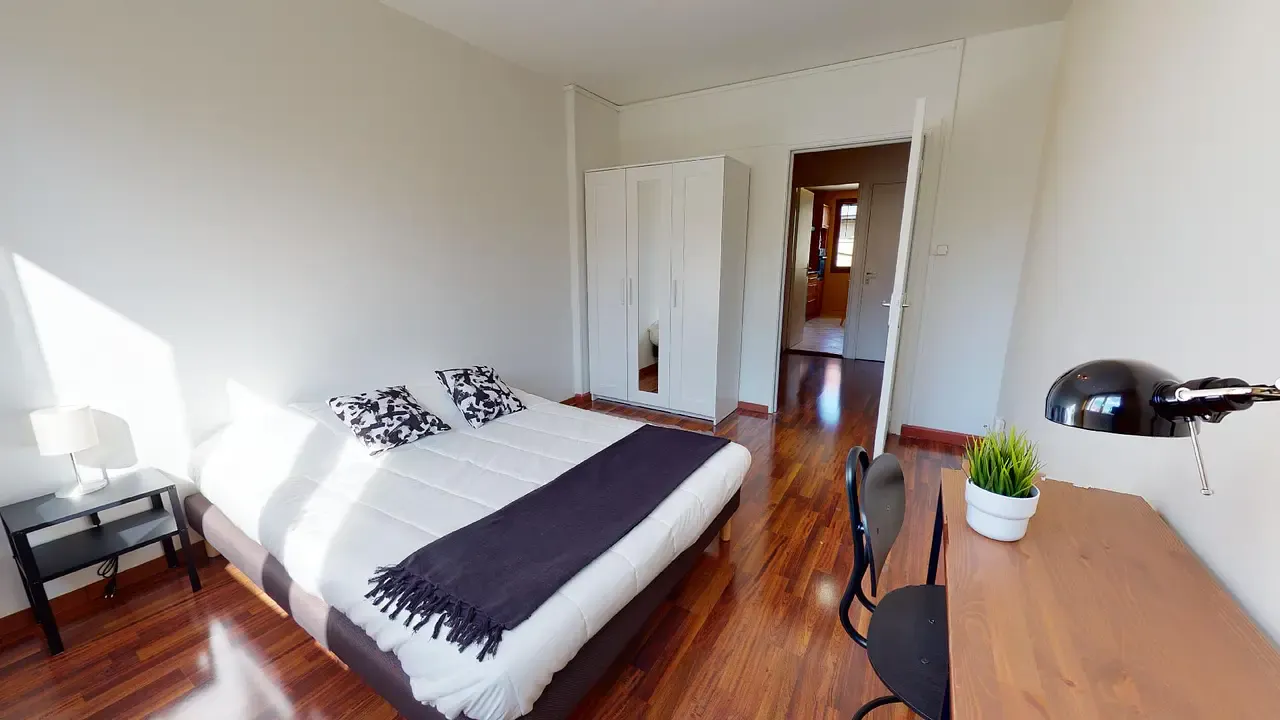 Private room in Rue Louis Braille, Villeurbanne (1634822) ROOM 2