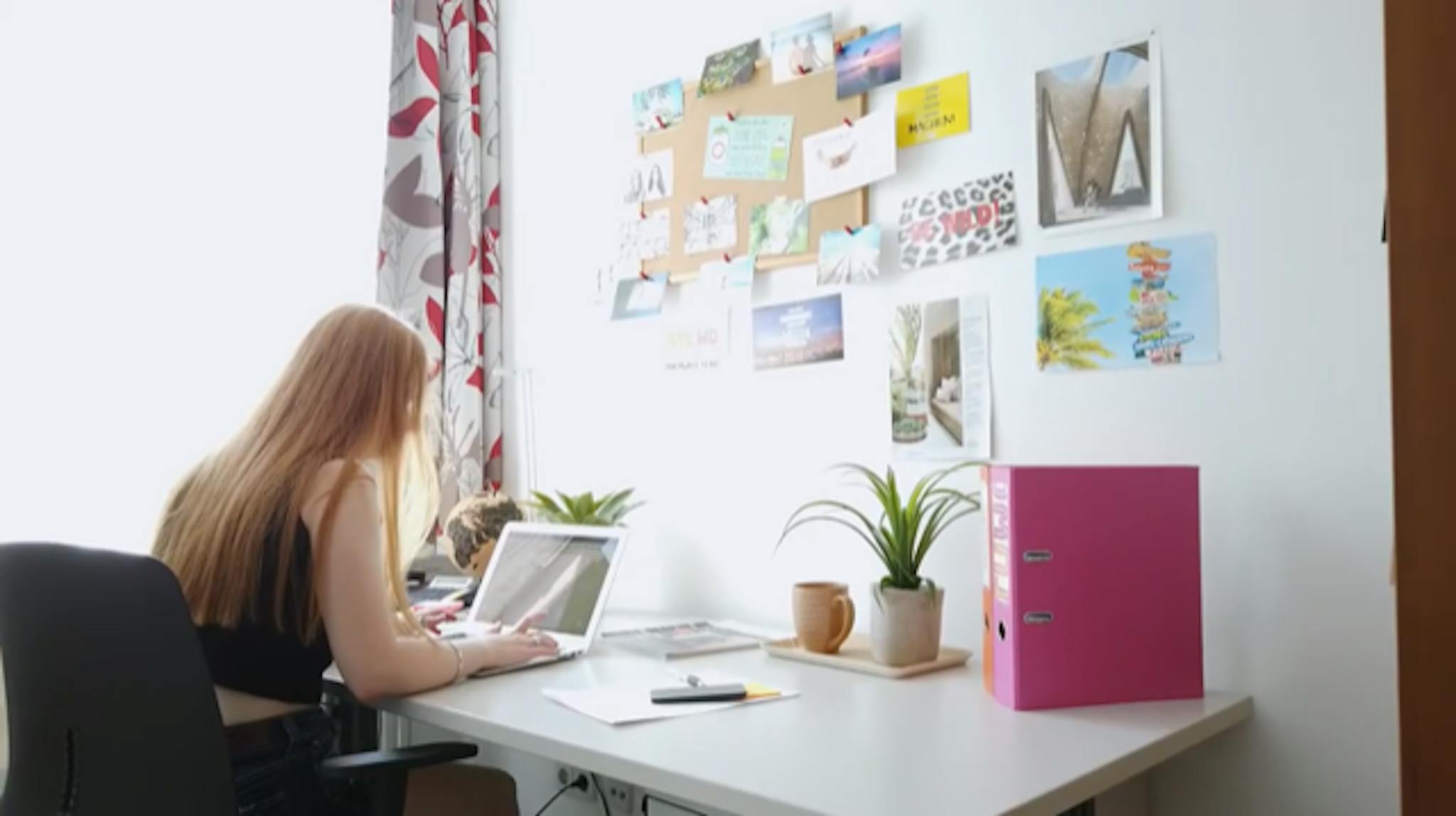 Dückegasse, Vienna preview