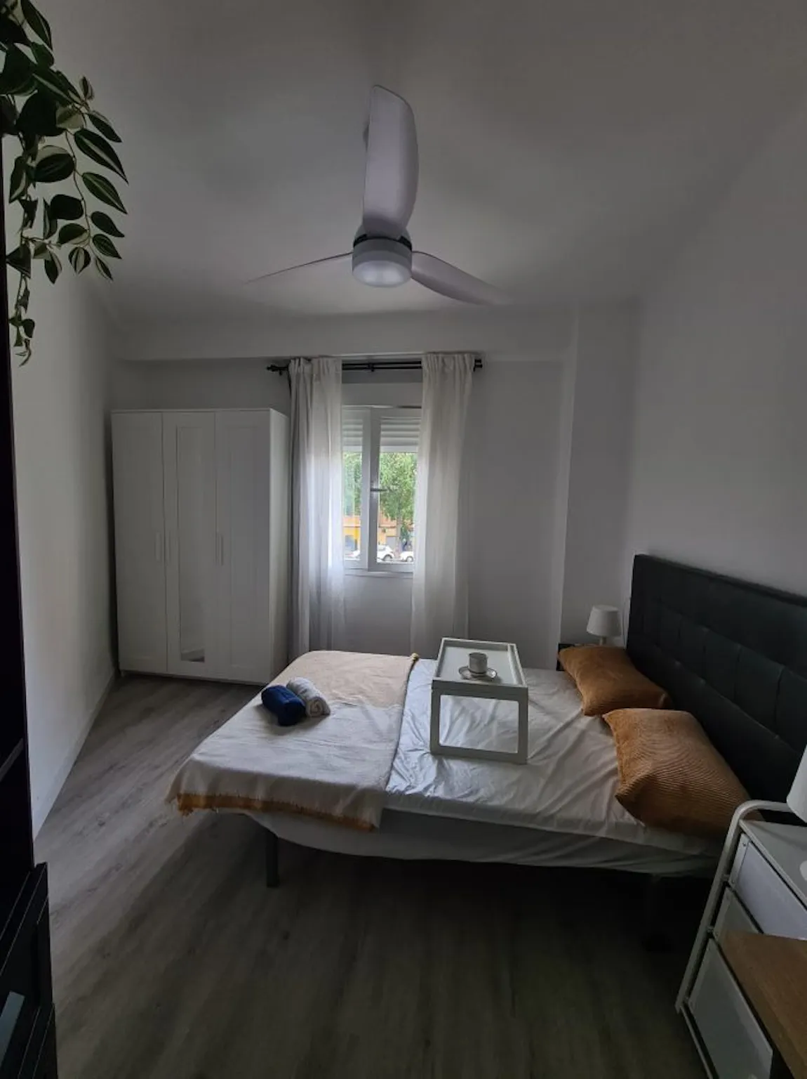 Avinguda de Burjassot, Valencia preview