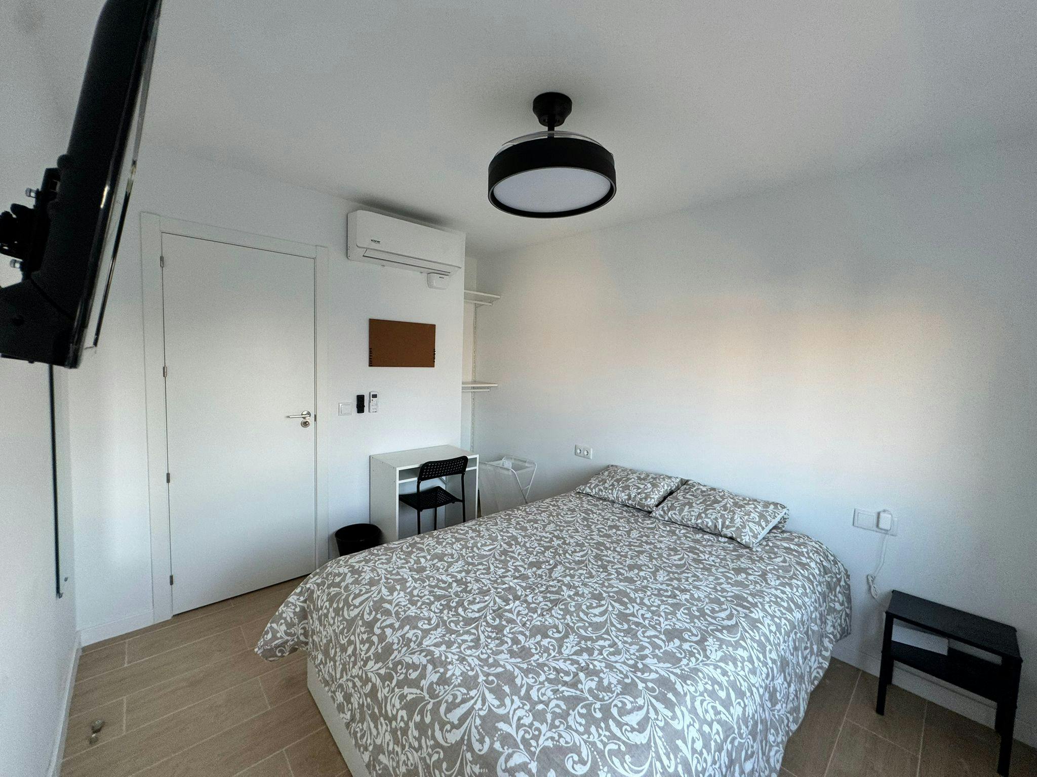 Calle Jaime Segarra, Alicante (Alacant) preview