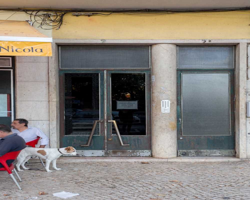 Single room Lisbon, 1 bed, 15m² — photo 3