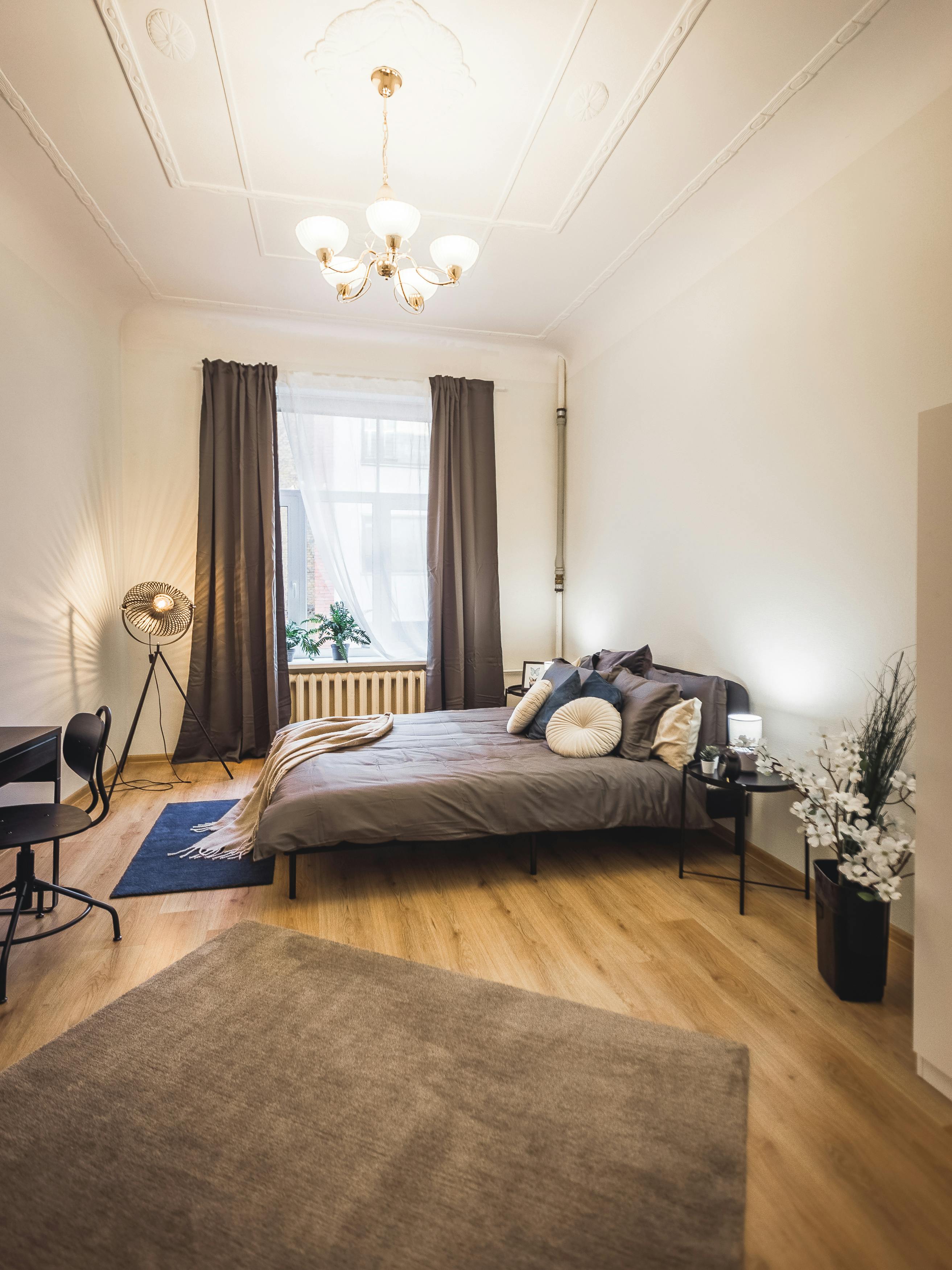 Single room Riga, 1 bed, 22.9m² — photo 2