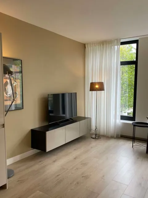 2-Bedroom Apartment in Lauriergracht, Amsterdam (1638132) ROOM 1
