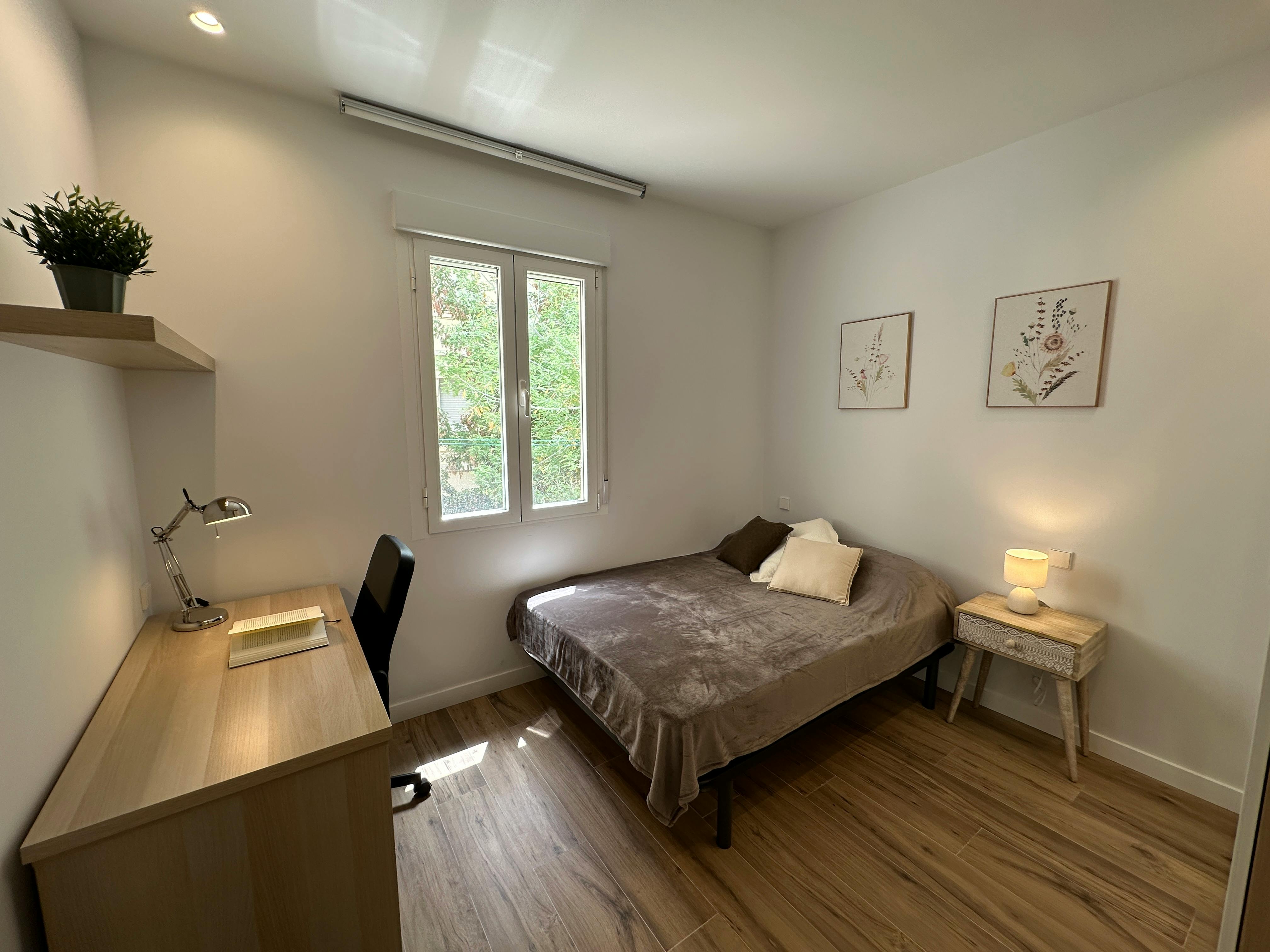 Single room Madrid, 1 bed — photo 6