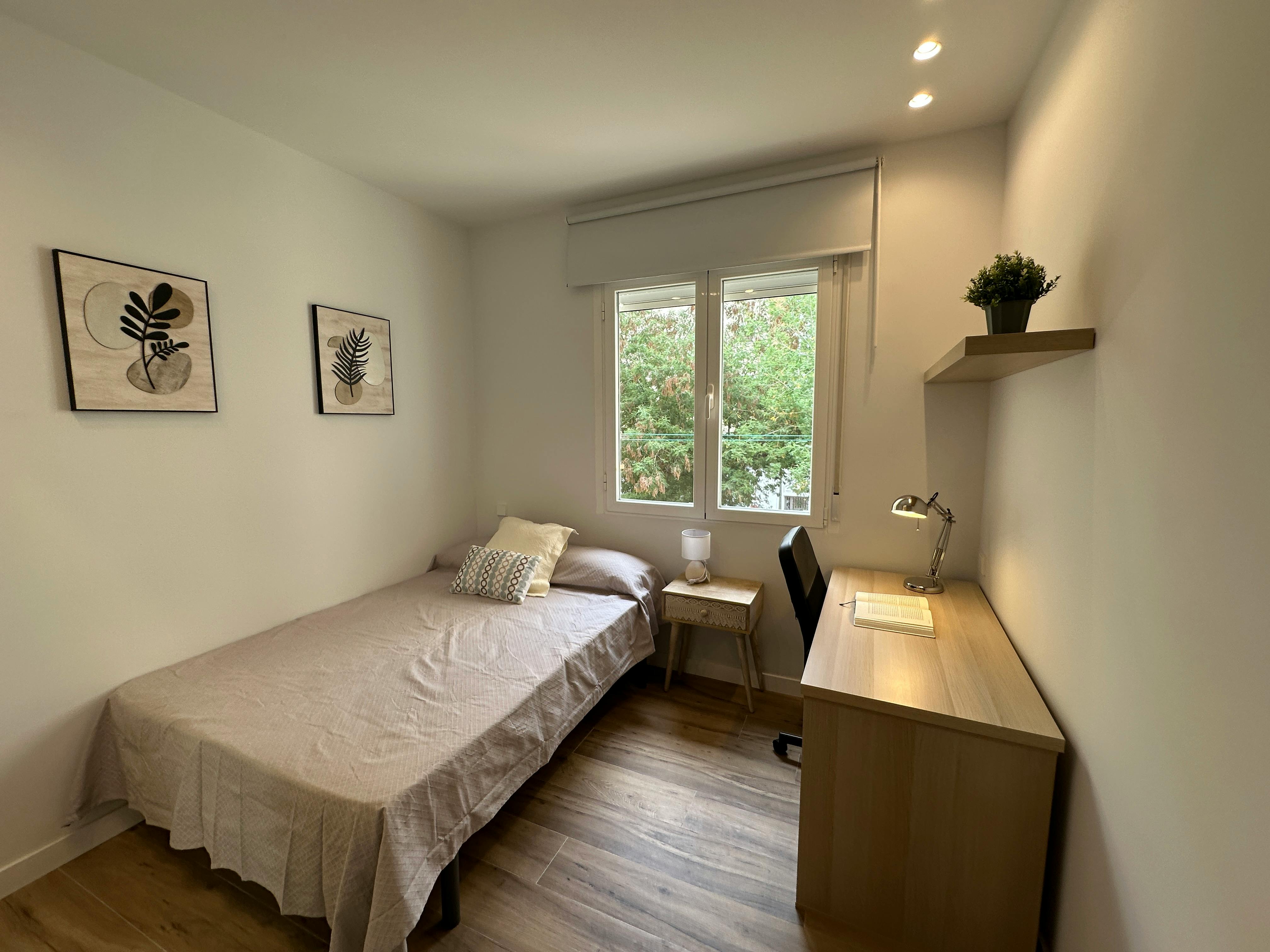 Single room Madrid, 1 bed — photo 1