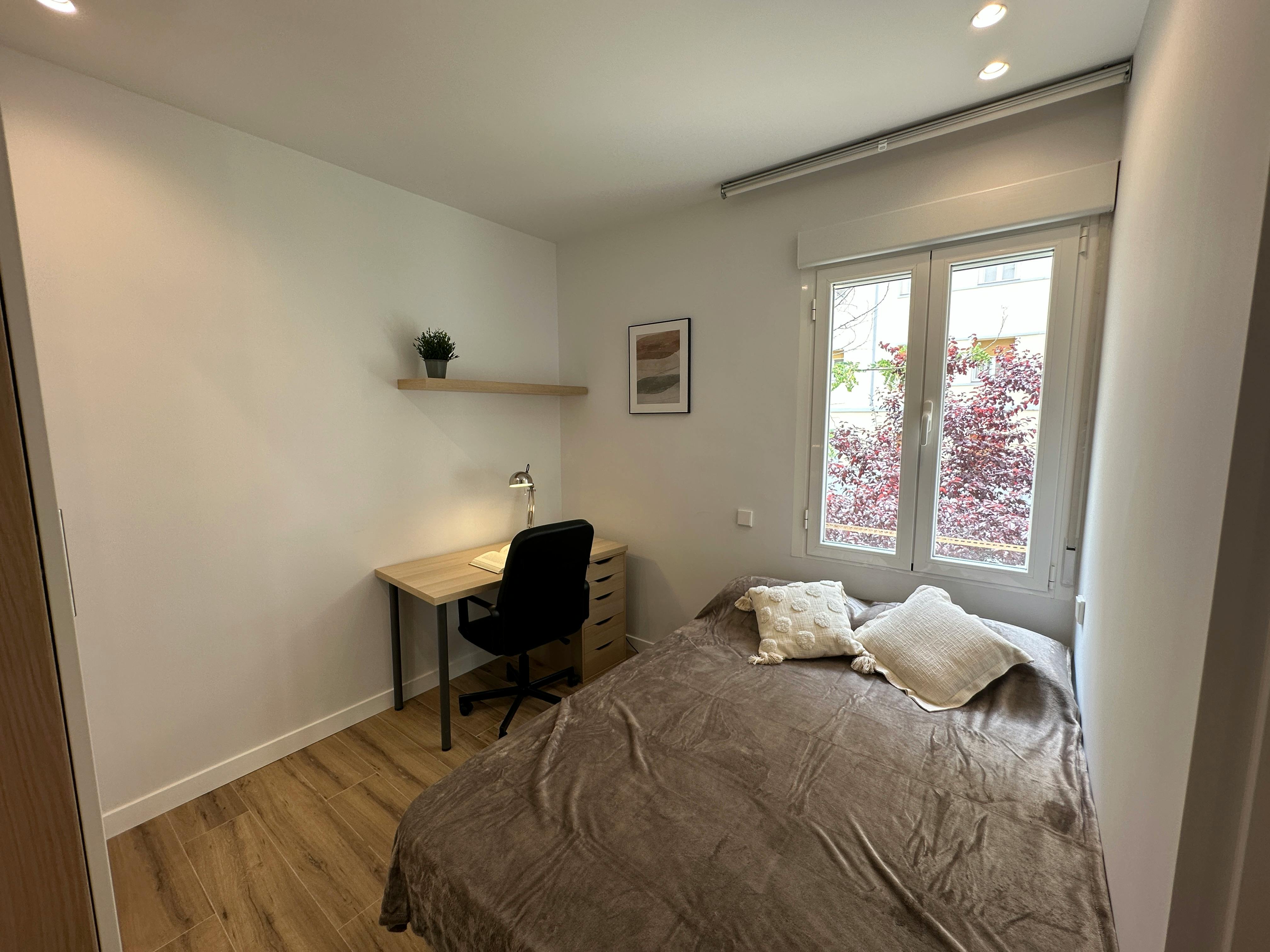 Single room Madrid, 1 bed — photo 9