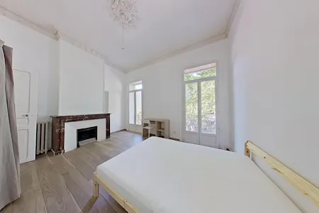 Private room for rent on Boulevard Renouvier, Montpellier