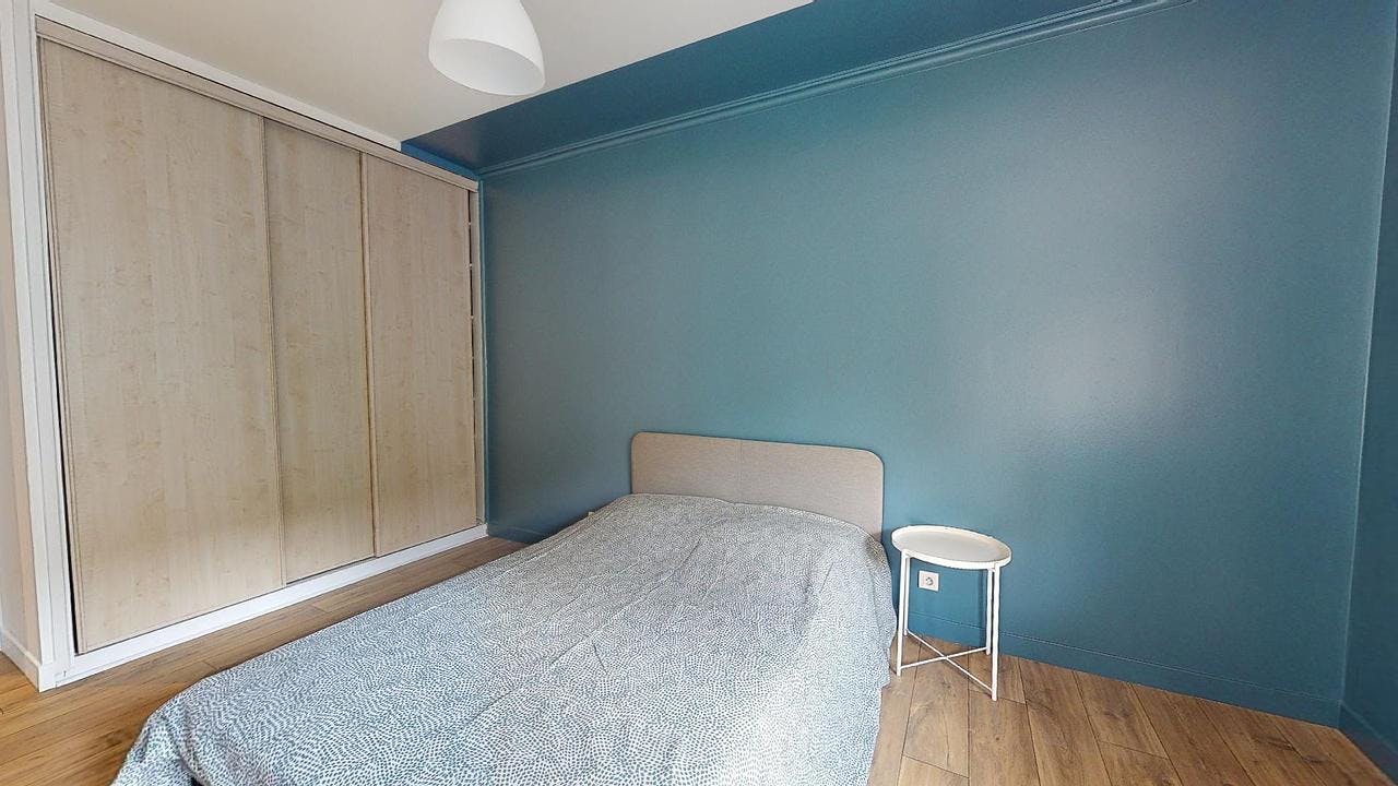 Private room for rent on Rue du Onze Novembre, Saint-Étienne – pohled 4