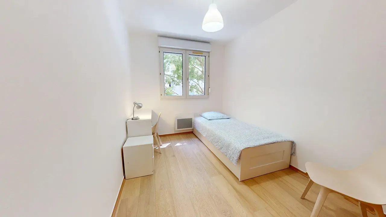 Private room in Rue Henri Rolland, Villeurbanne (1638431) ROOM 2