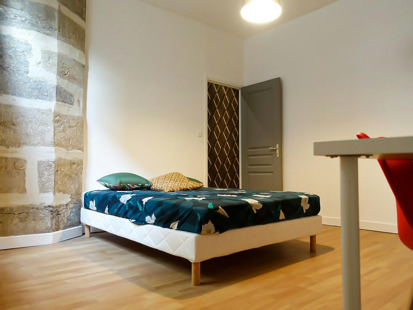 Single room Lyon, 1 bed, 14m² — photo 7