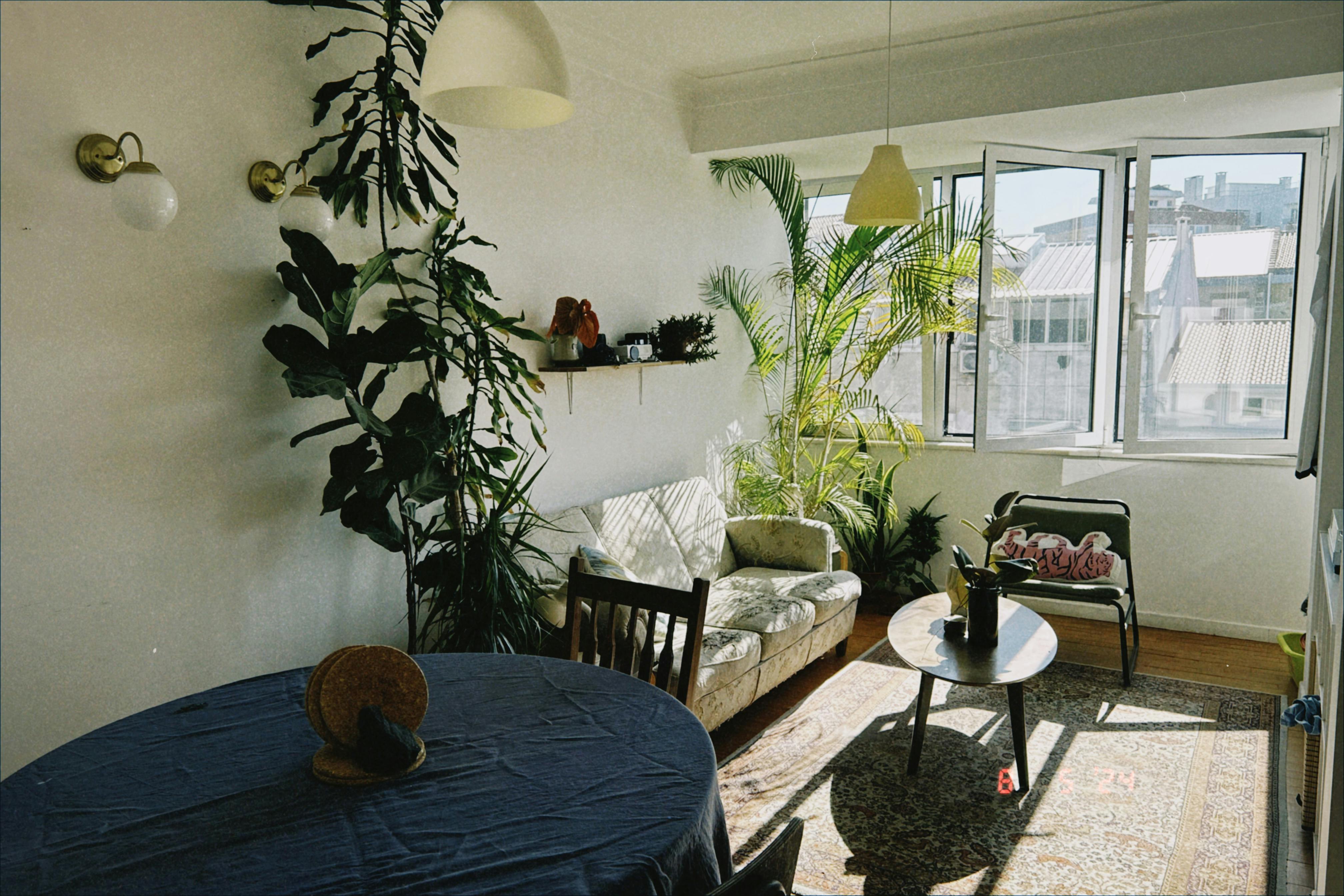 Rua da Liberdade, Almada preview