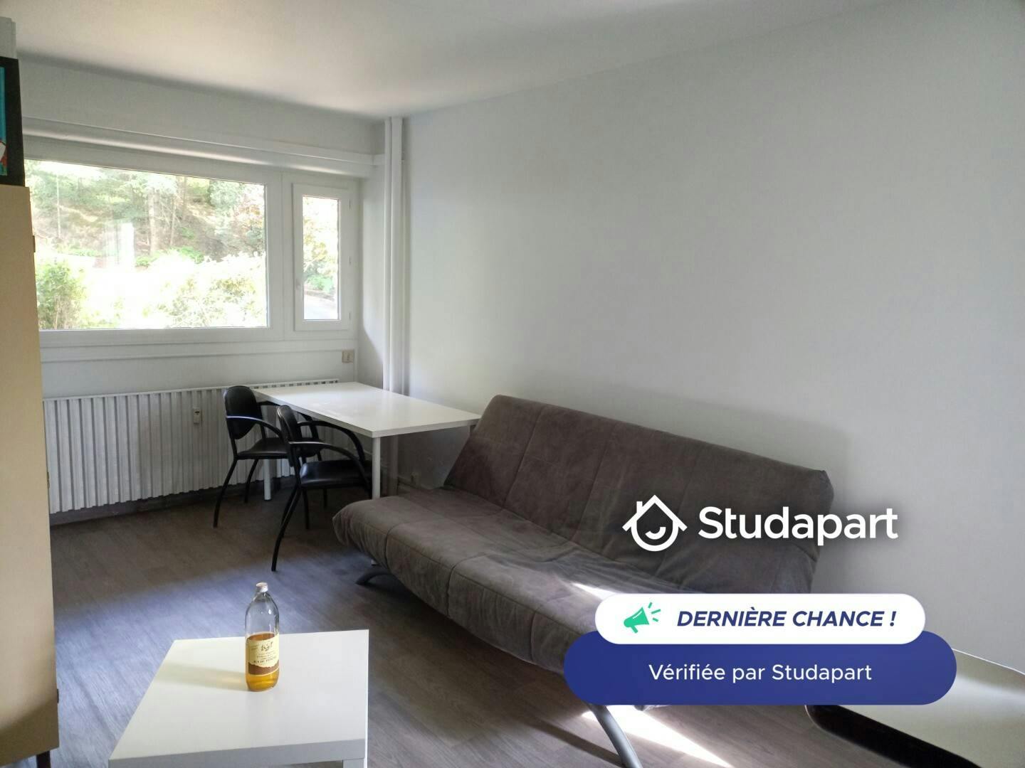 Apartment for rent on Rue Crozet Boussingault, Saint-Étienne – pohled 5