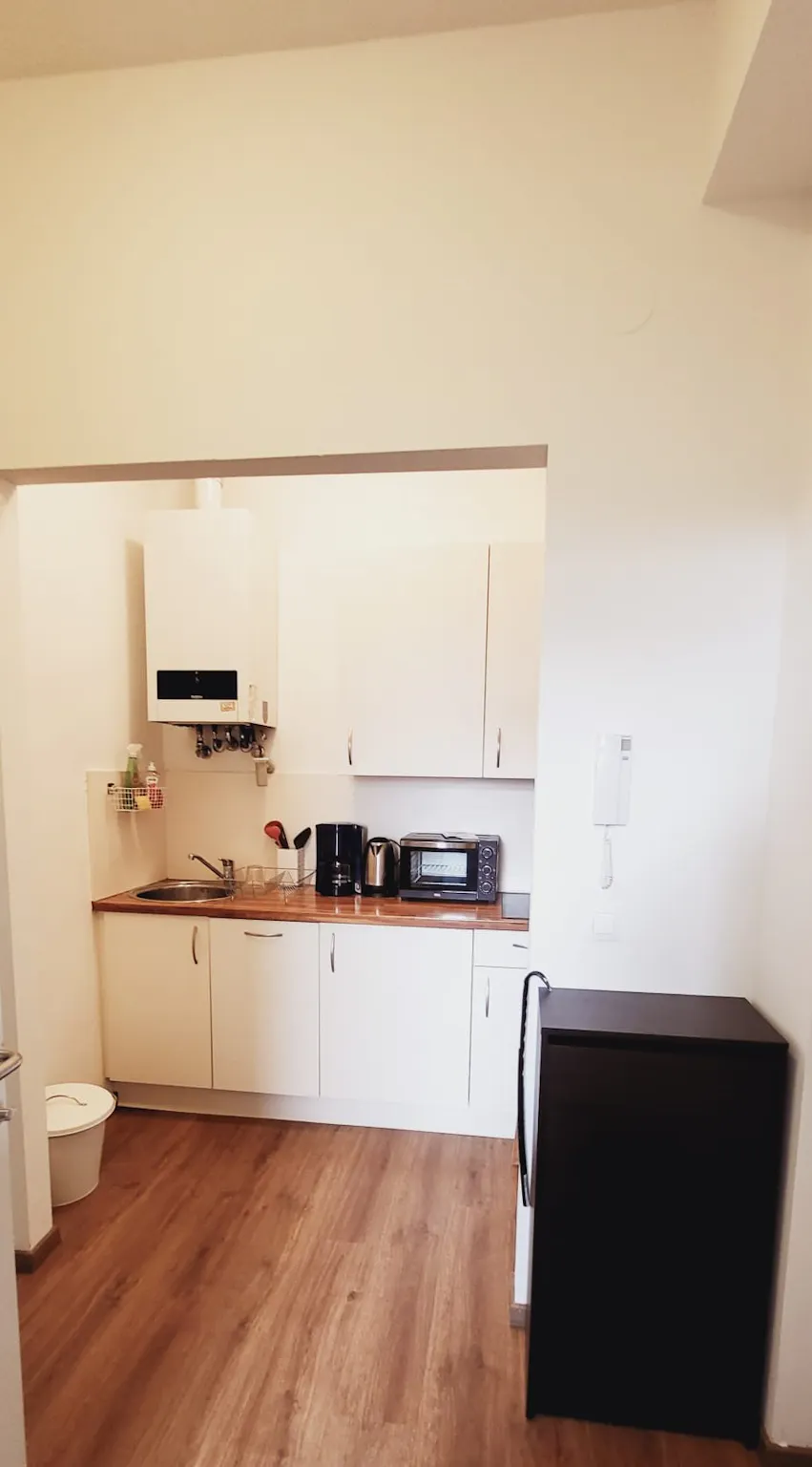 1-Bedroom Apartment in Wallensteinstraße, Vienna (1640938) ROOM 3