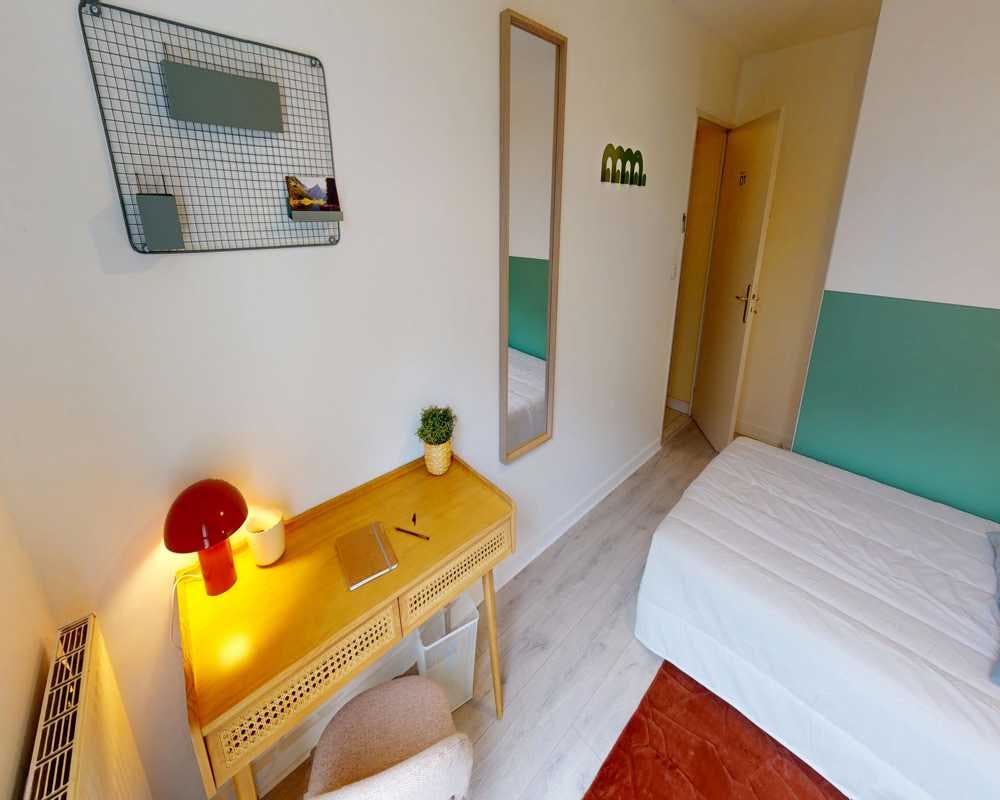 Rue Professeur Florence, Lyon preview