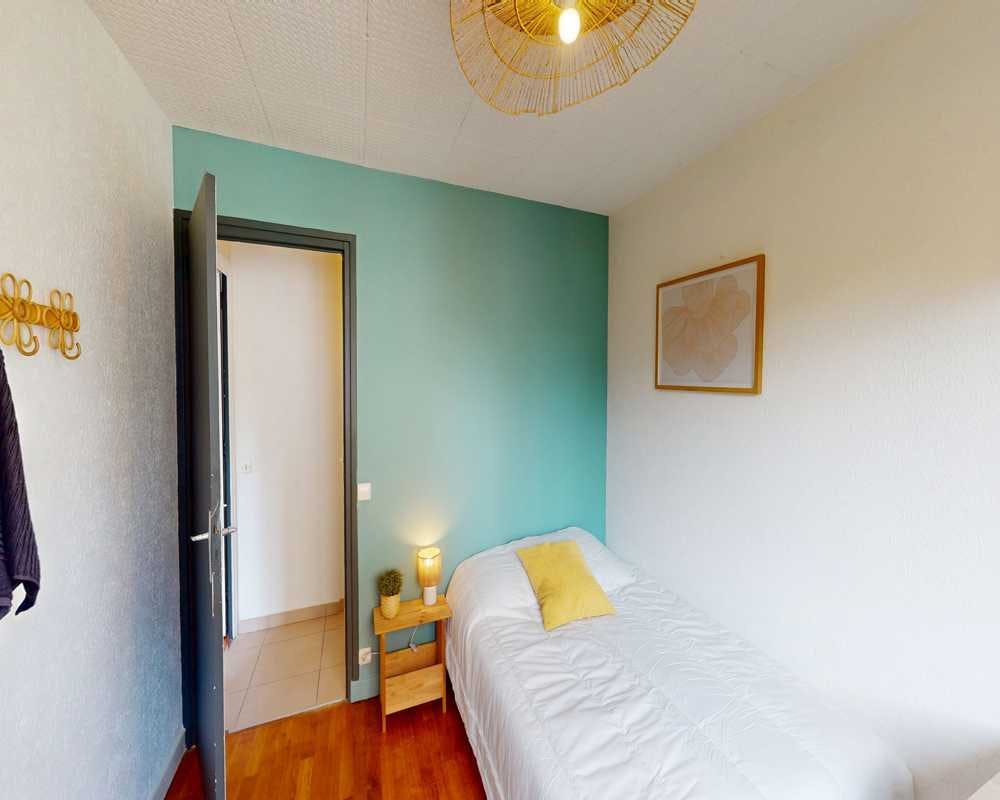 Private room in Rue d'Austerlitz, Lyon (1641000) room image 2
