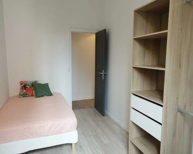 Private room in Rue d'Austerlitz, Lyon (1641002) room image 3