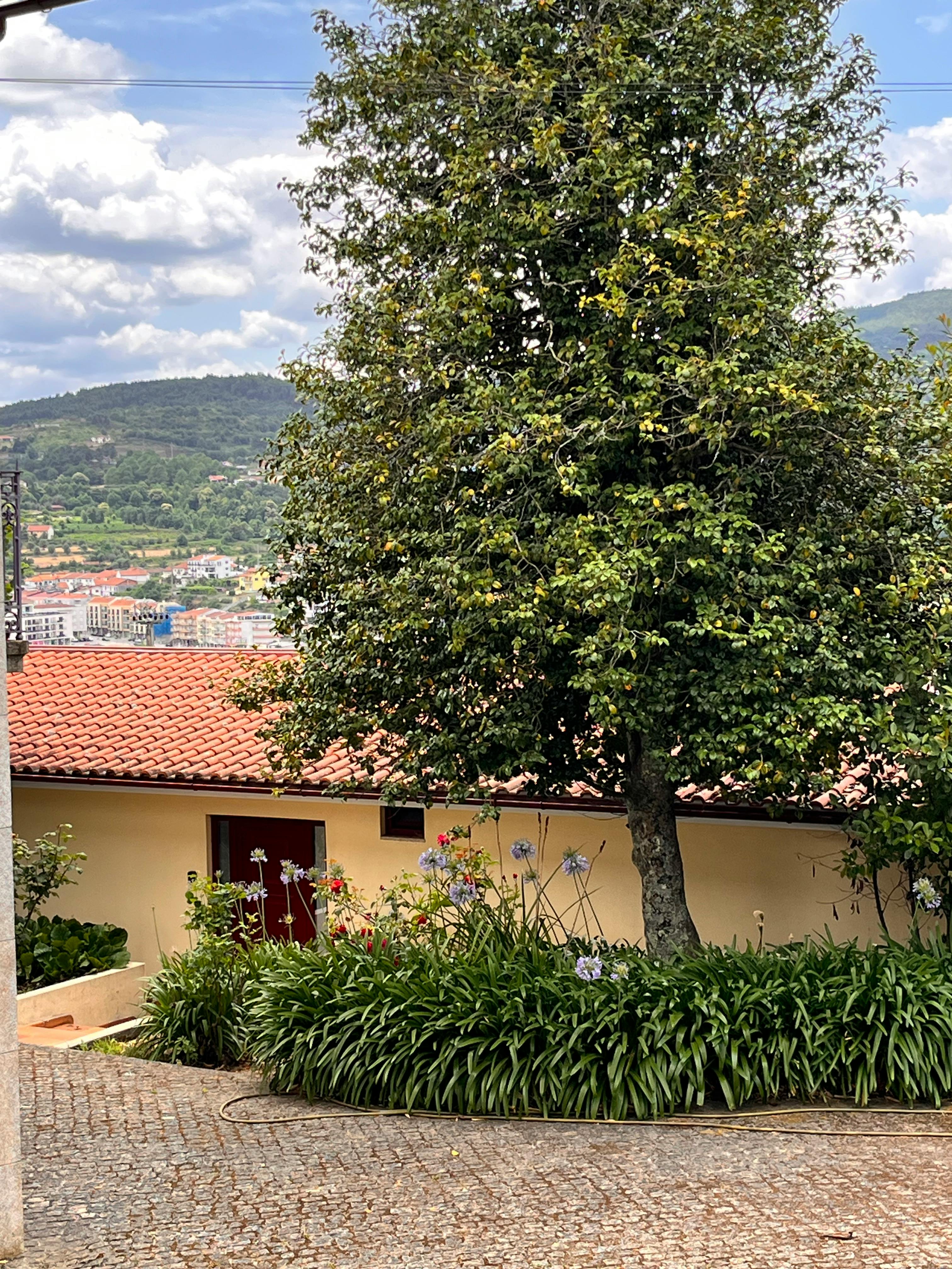 Apartment Rio Douro, 2 beds — photo 7