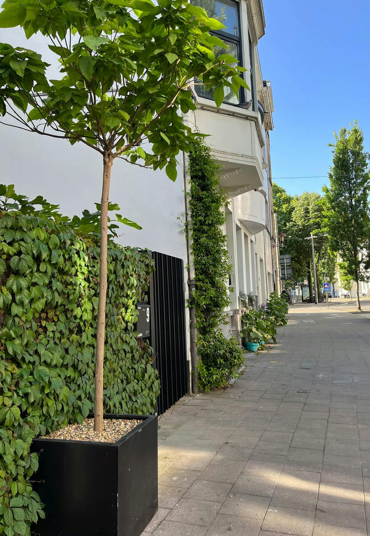 preview gallery tile