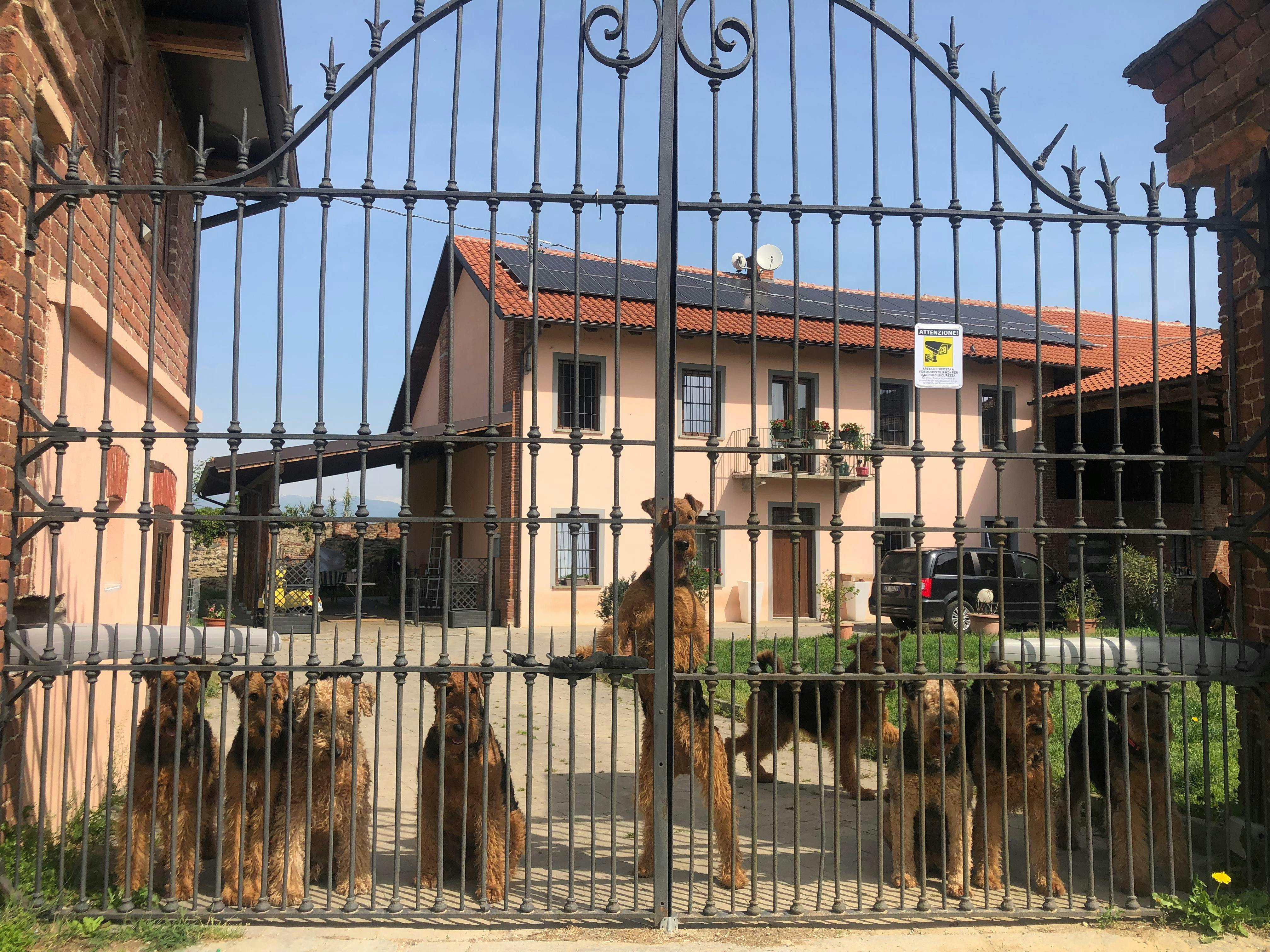 Regione Gariglietta, Castagnole Piemonte preview