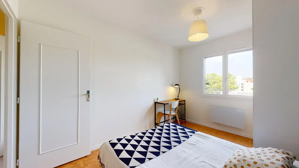 Private room in Rue Lafontaine, Villeurbanne (1642040) ROOM