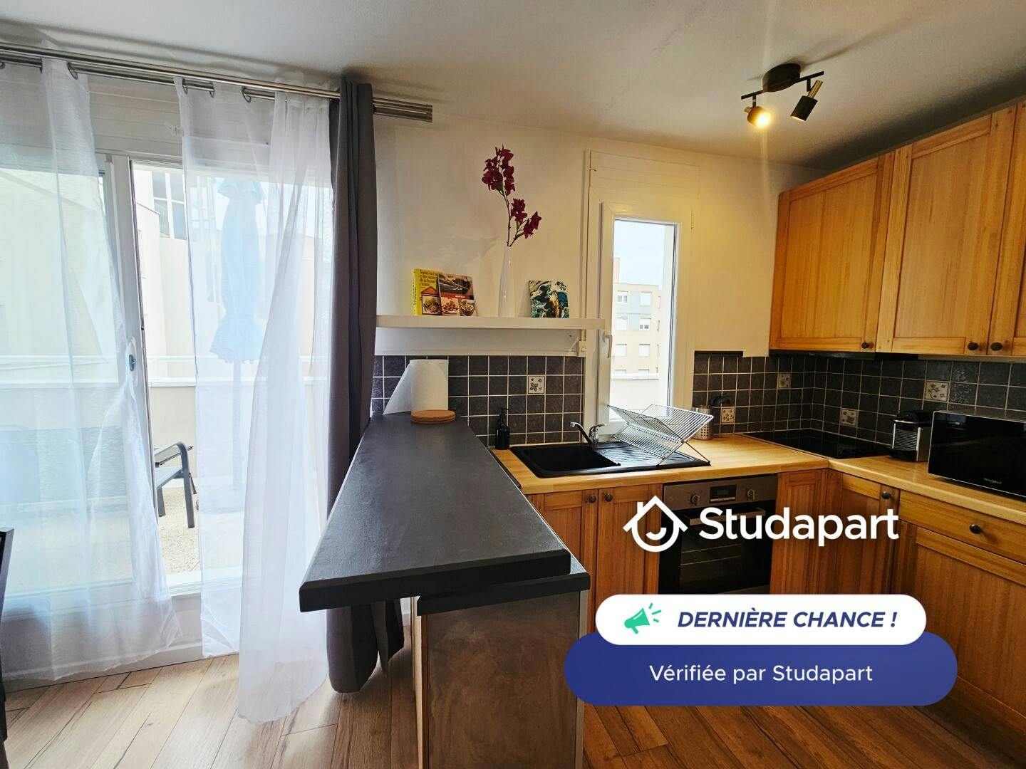 Apartment for rent on Rue Jacques Monod, Lyon – pohled 3