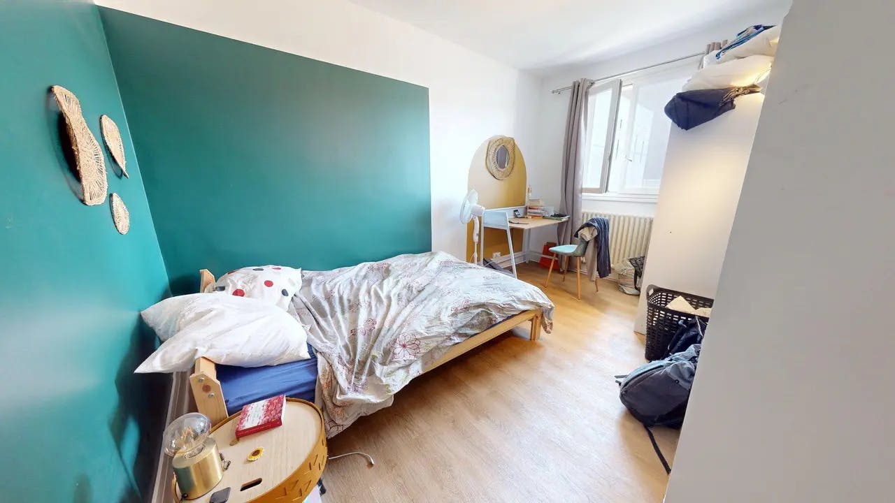 Private room in Rue Professeur Beauvisage, Lyon (1642638) room image 1