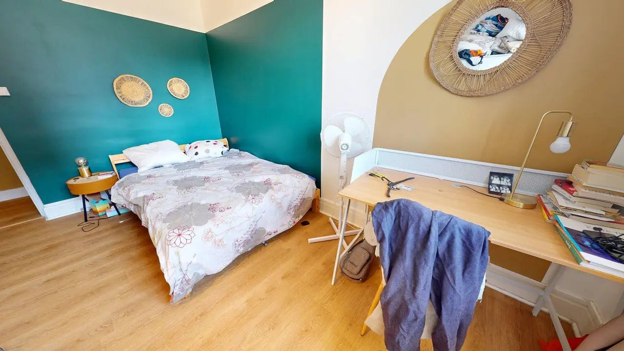 Private room in Rue Professeur Beauvisage, Lyon (1642638) room image 21