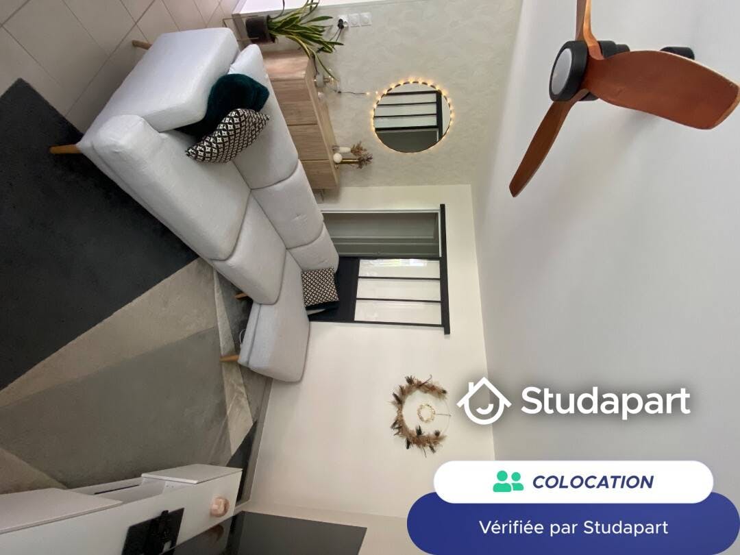 Private room for rent on Rue Félix Brun, Lyon - Ansicht 3