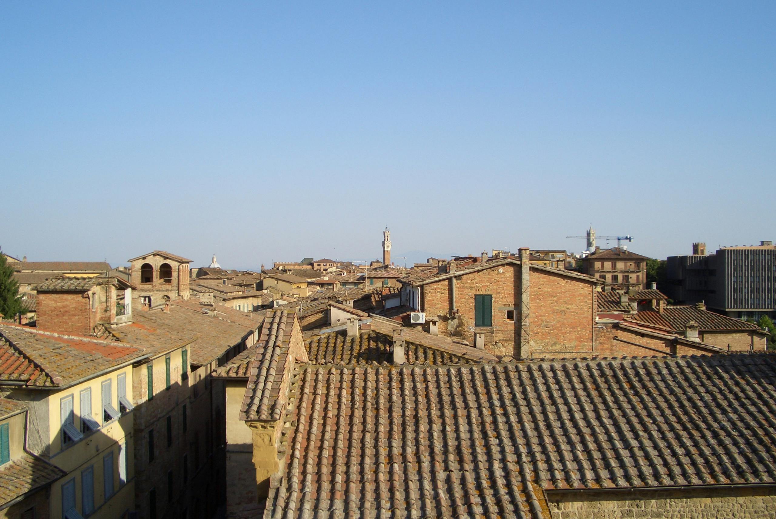 Single room Siena, 1 bed, 16m² — photo 3