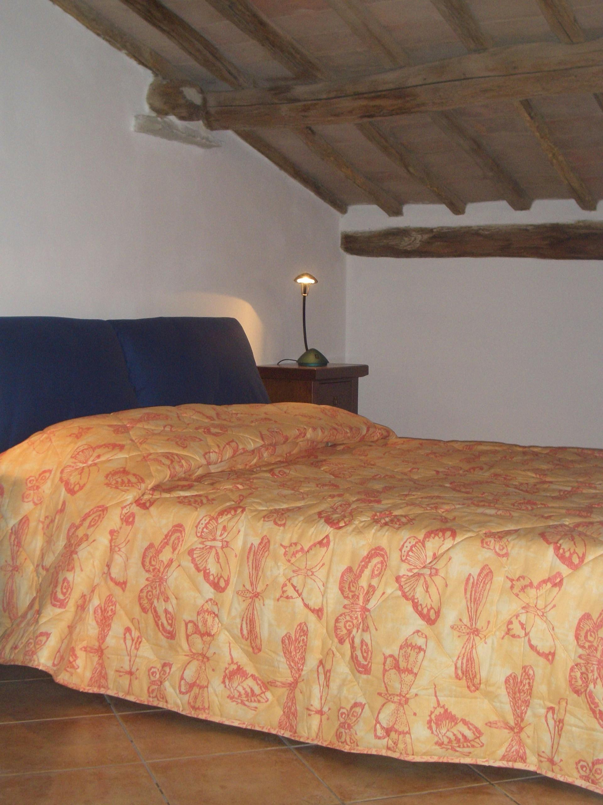 Single room Siena, 1 bed, 14m² — photo 6