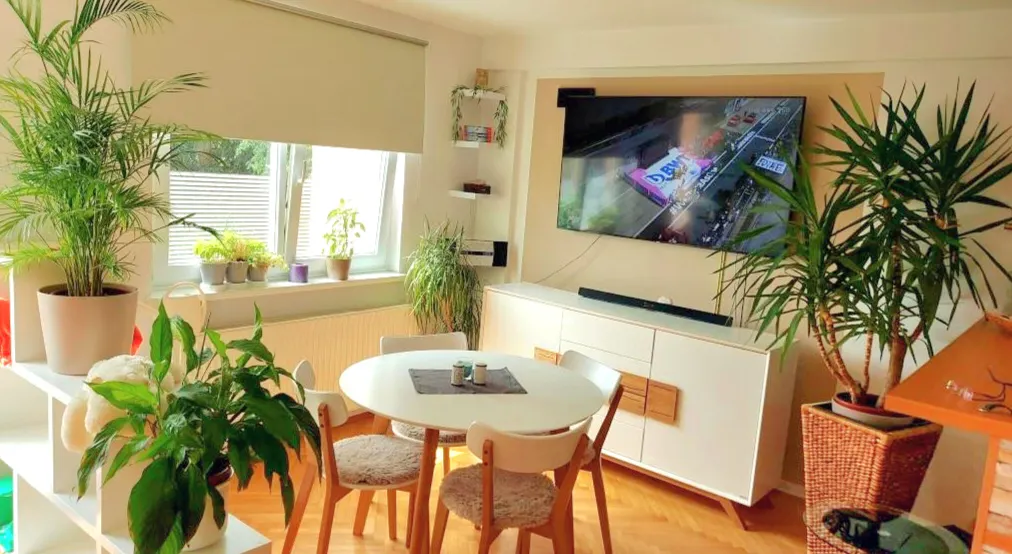 2-Bedroom Apartment in Endresstraße, Vienna (1643397) ROOM 1