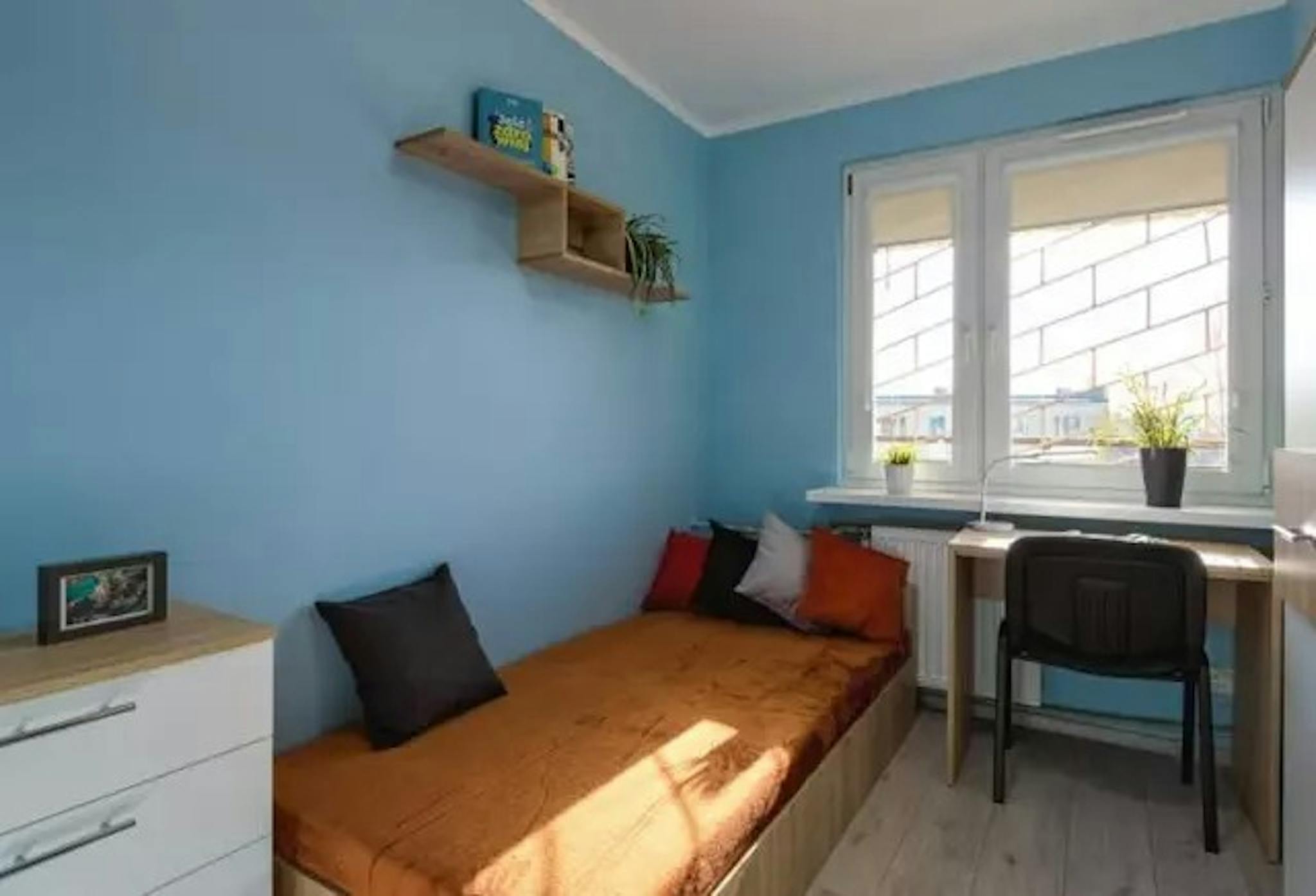 Aleja Wilanowska, Warsaw preview