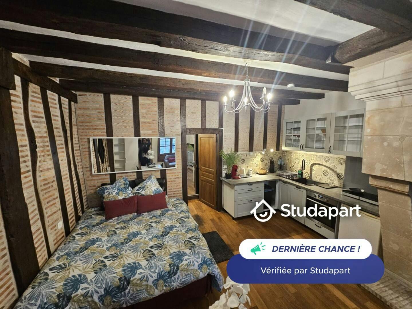 Apartament de închiriat pentru 800 EUR pe lună în Tours, Rue de la Paix