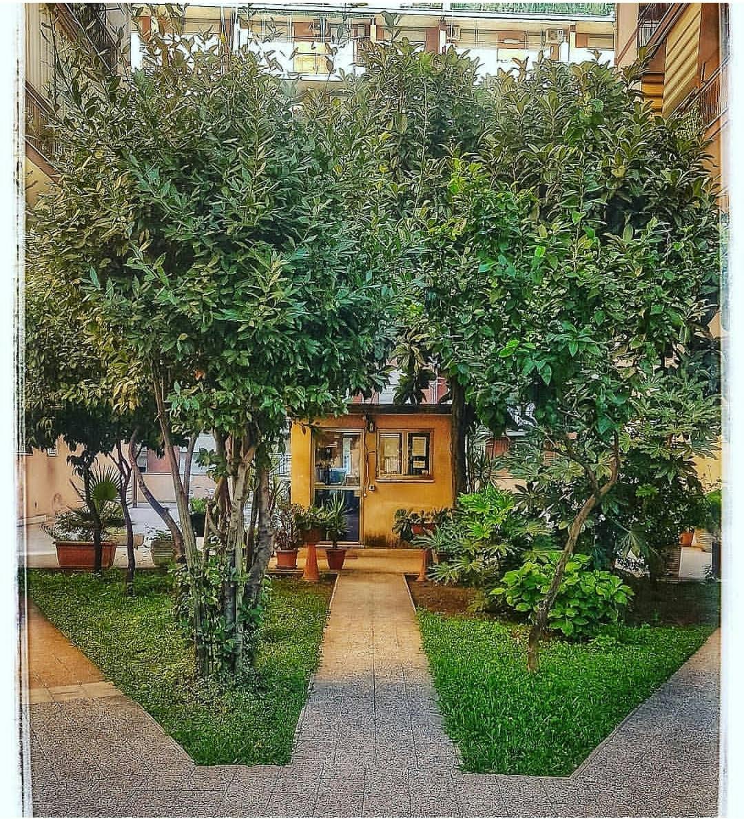 Apartment Rome, 1 bed — photo 6