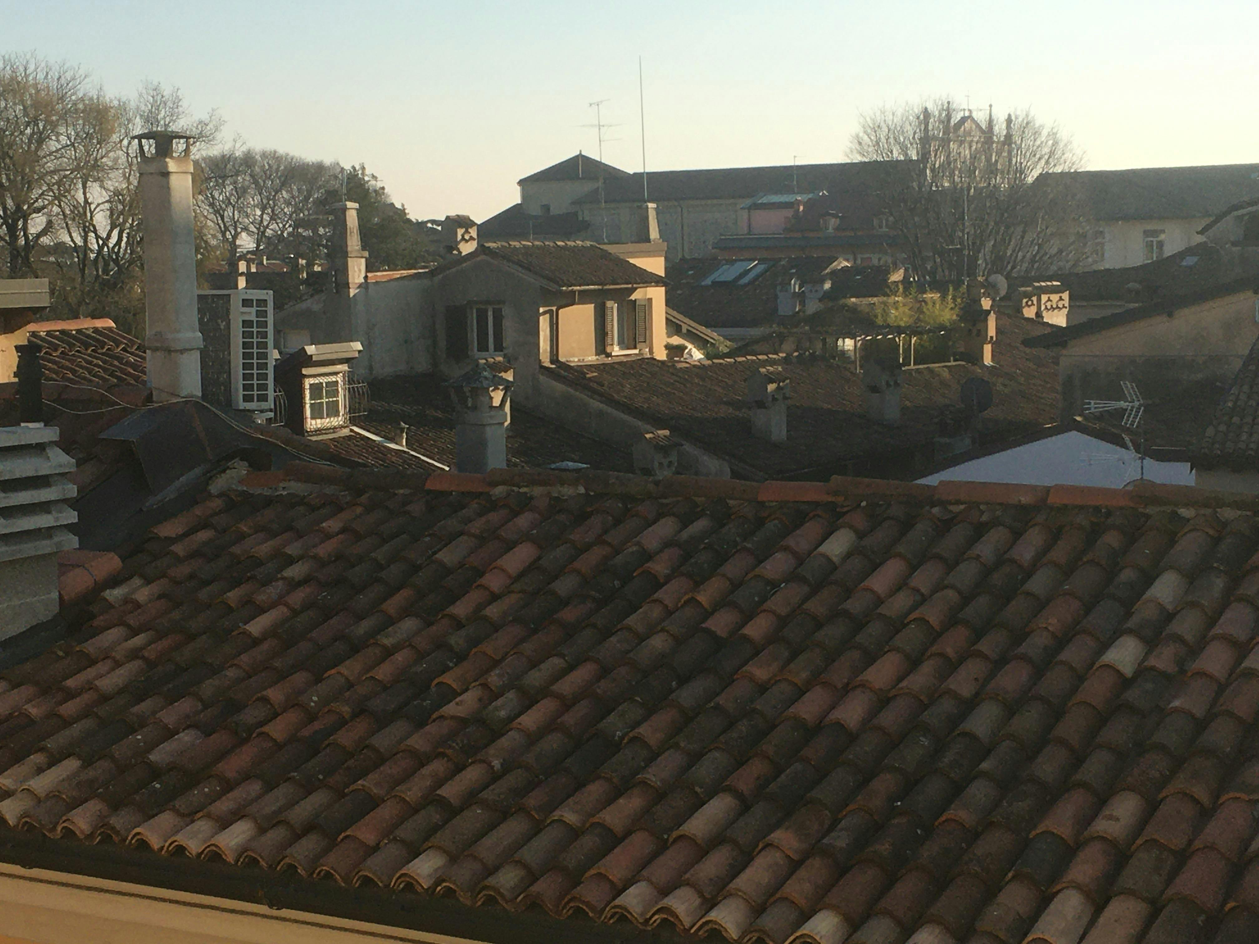 Single room Trieste, 1 bed, 12m² — photo 1