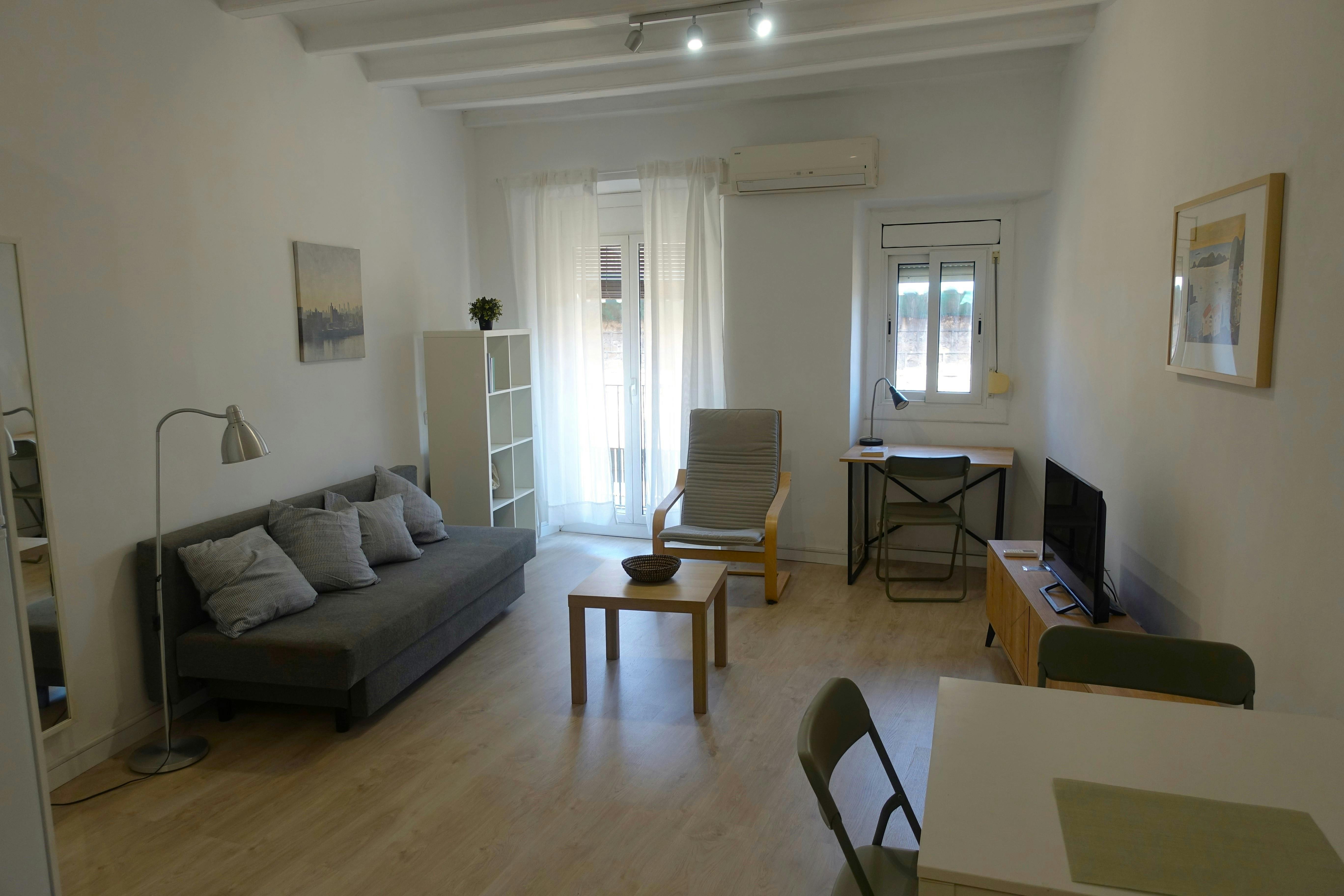 Carrer de l'Hospital, Barcelona preview