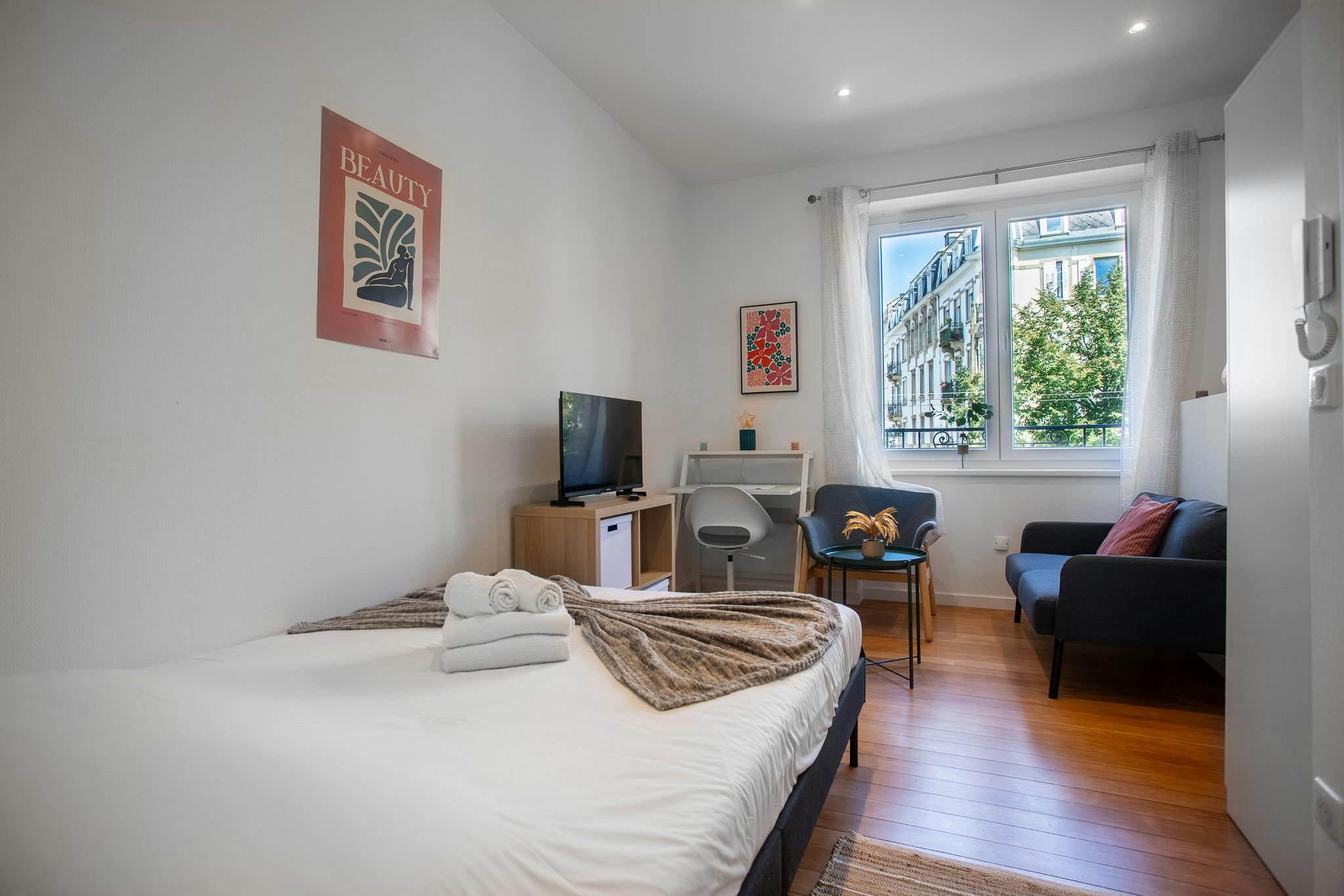 Avenue de Colmar, Strasbourg preview