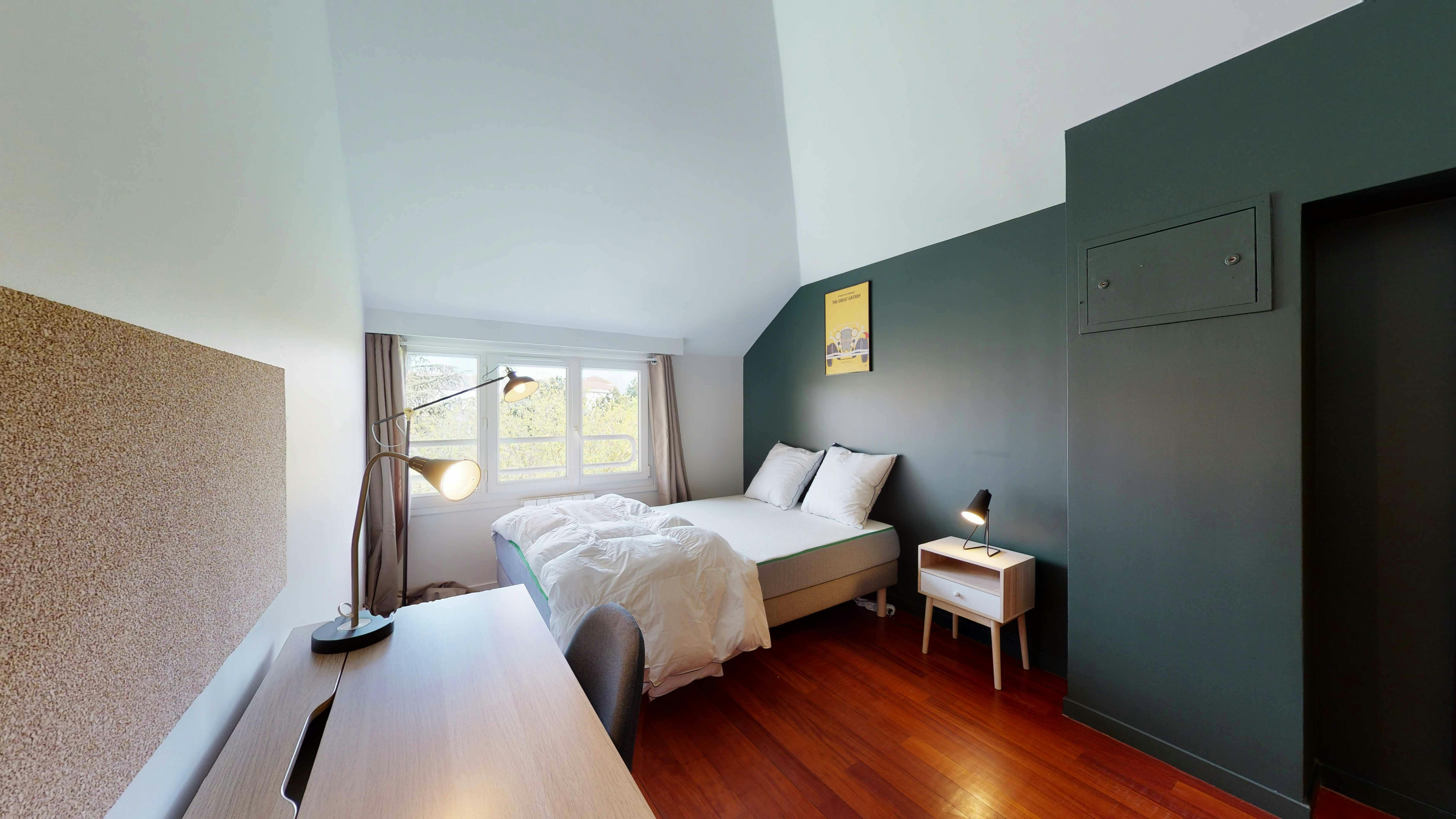 Private room in Rue Victor Schoelcher, Créteil (1645577) room image 3