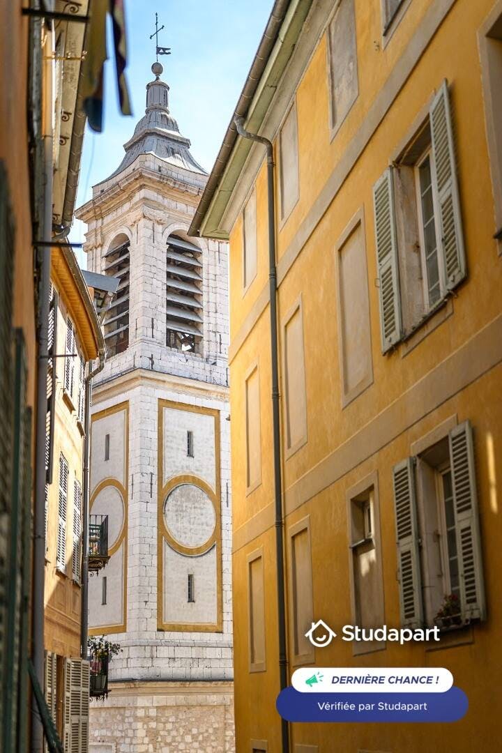 Apartment for rent on Rue Mascoinat, Nice - Widok 5