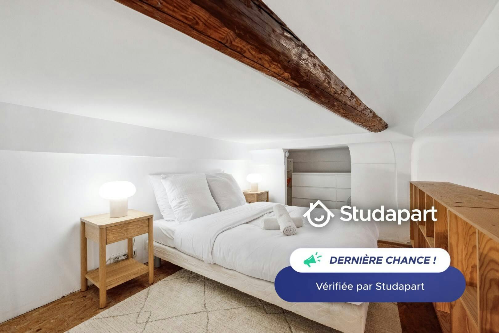 Apartment for rent on Rue Mascoinat, Nice - Widok 3