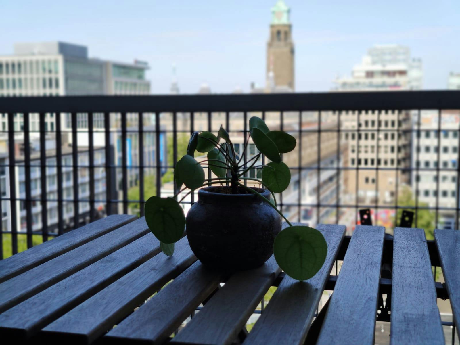 Single room Rotterdam, 1 bed, 20m² — photo 8