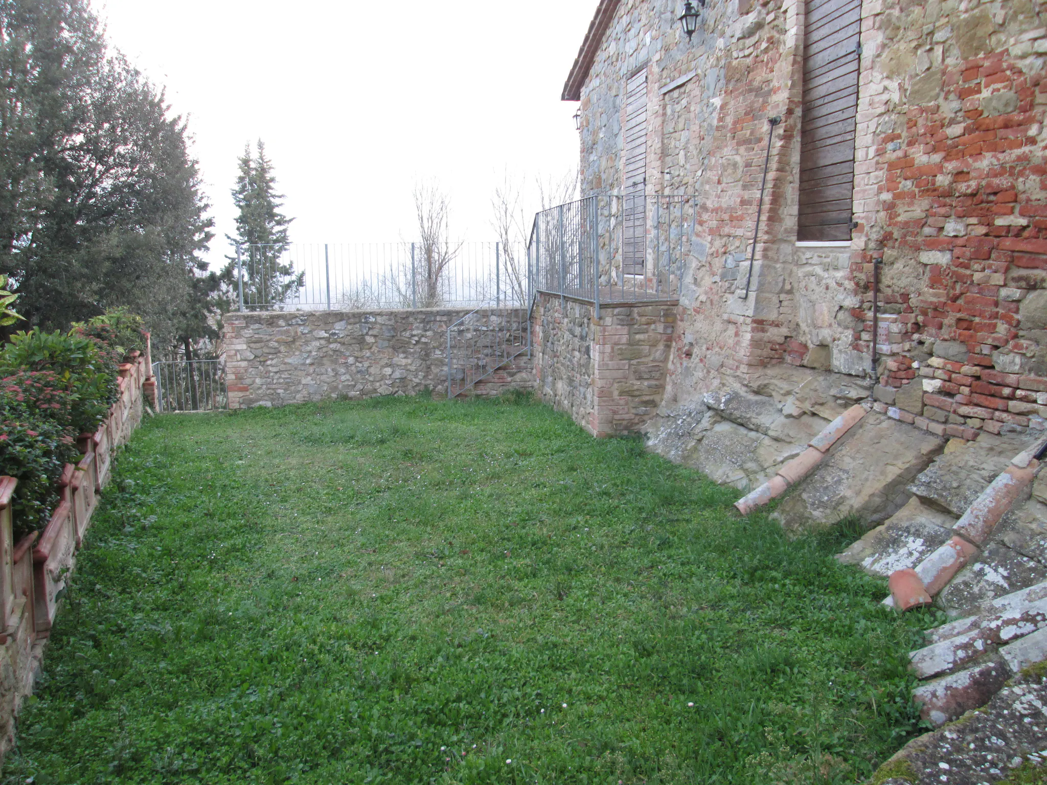 Image #7