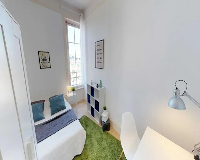 Private room in Boulevard des Tchécoslovaques, Lyon (1647391) room image 1