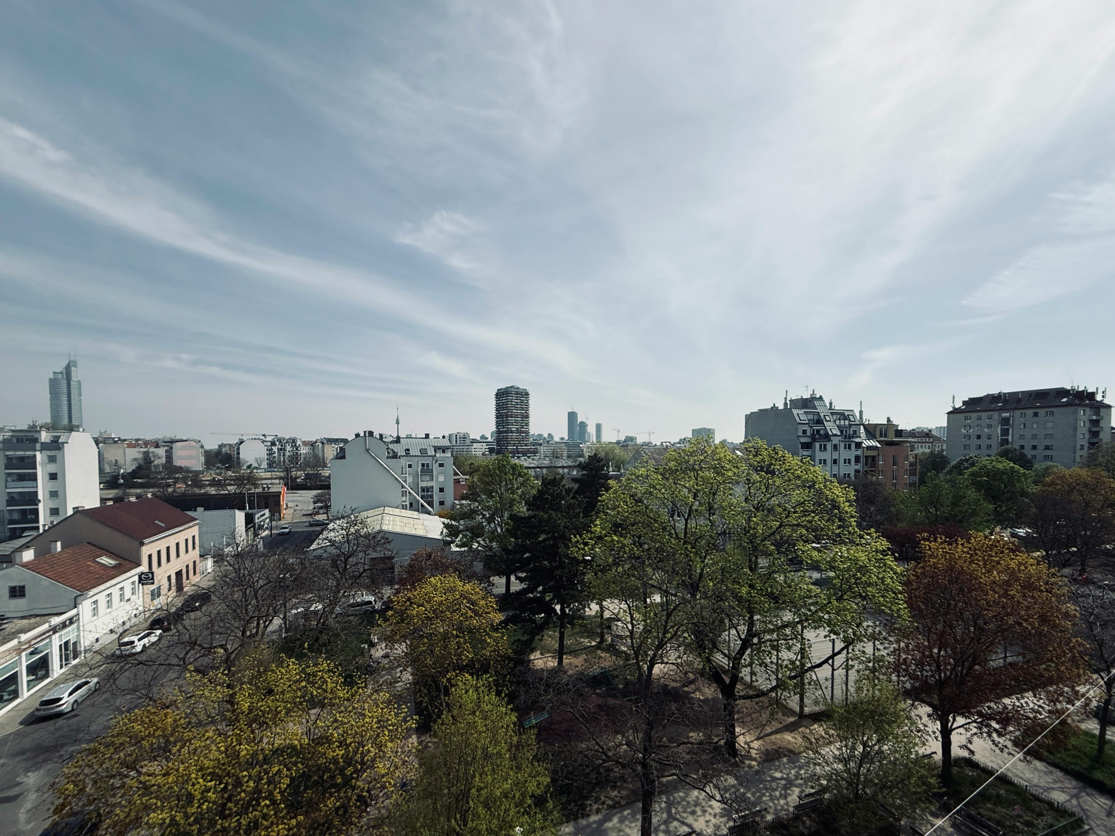 Apartment Vienna, 1 bed — photo 4