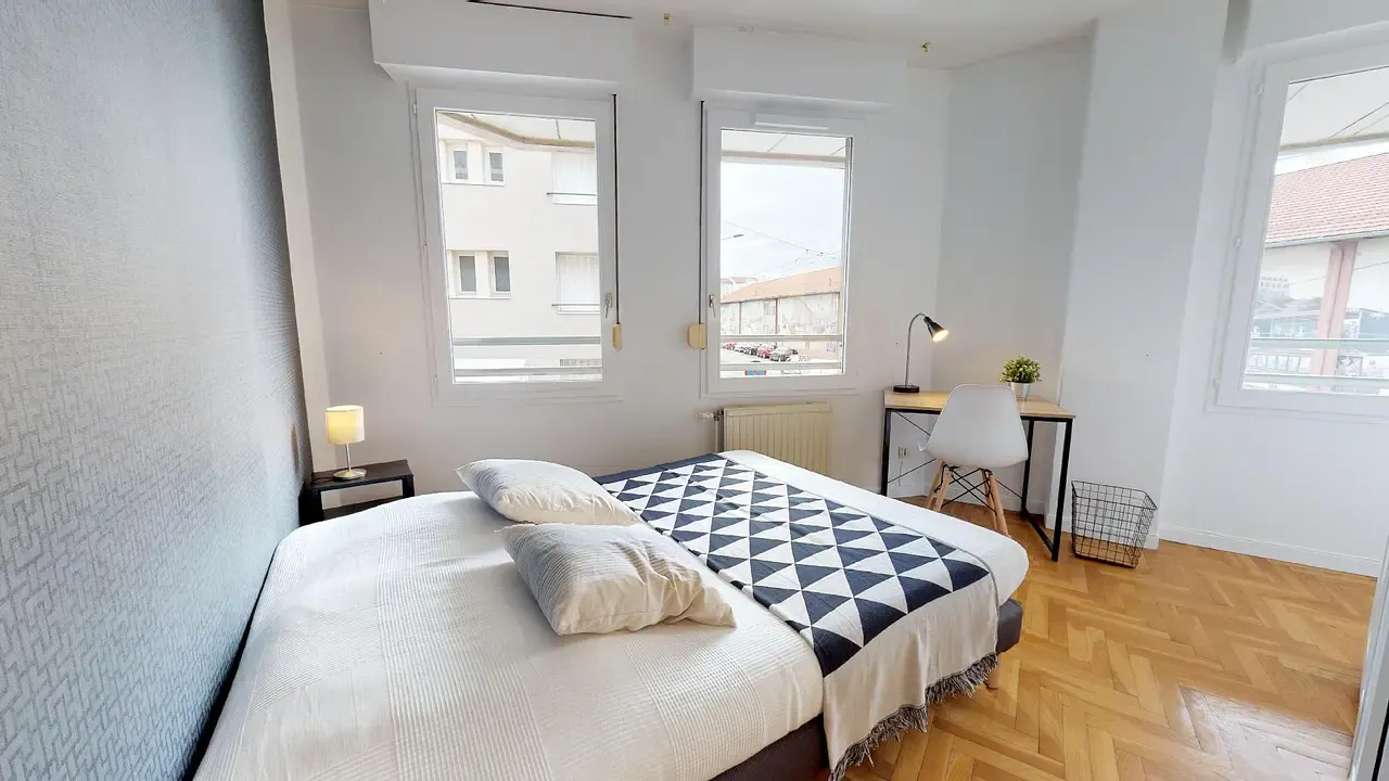 Private room in Rue Bonnefond, Lyon (1647532) ROOM 1